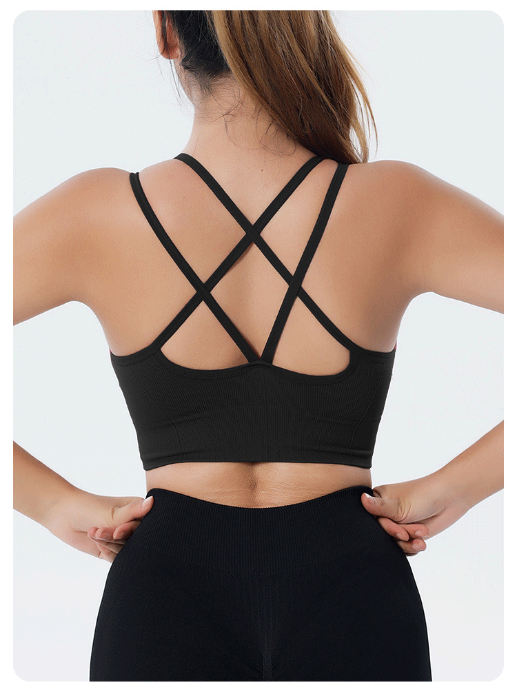 Plus Size Runner's Bra