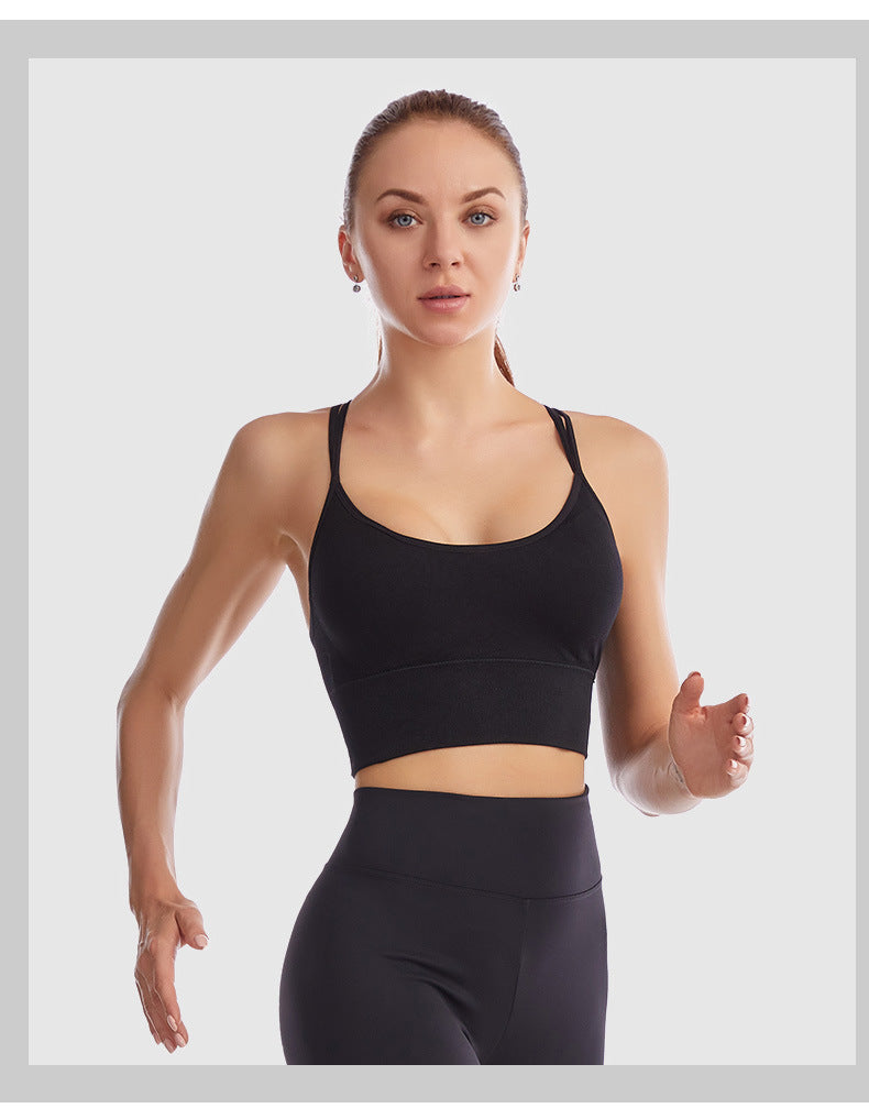 Plus Size Runner's Bra